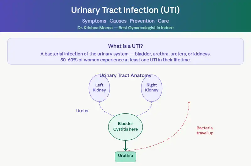 Urinary Tract Infection